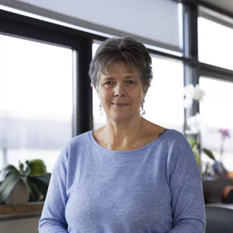 item.cover?.alt || ''