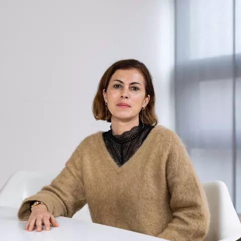 item.cover?.alt || ''