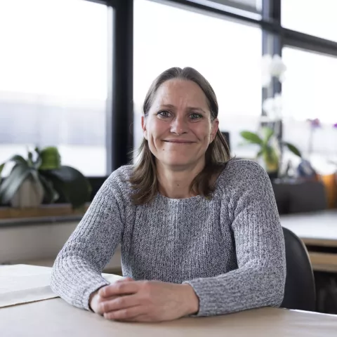 item.cover?.alt || ''